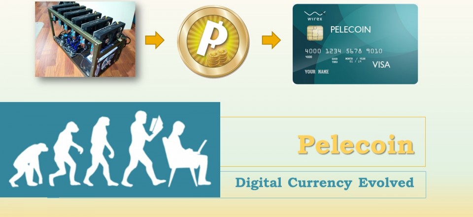 Pelecoin Digital Currency